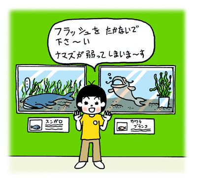アマゾン1.jpg