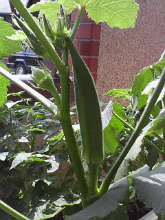 200807171355000.jpg